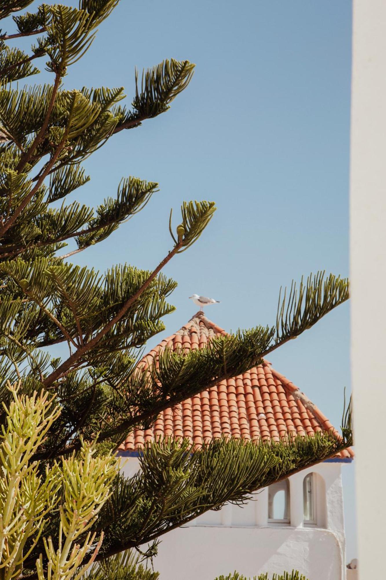 Villa Maroc Essaouira Luaran gambar
