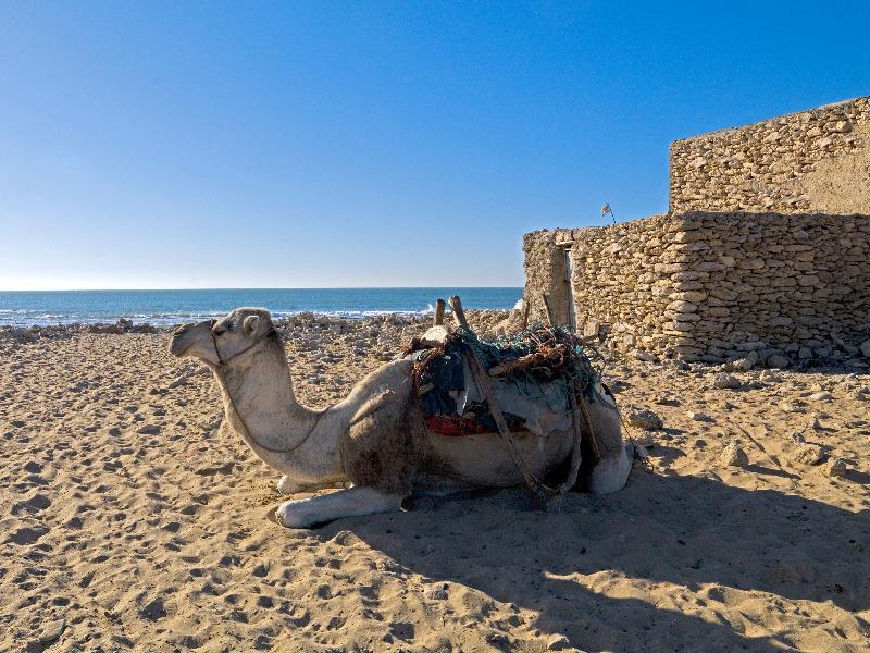 Villa Maroc Essaouira Luaran gambar